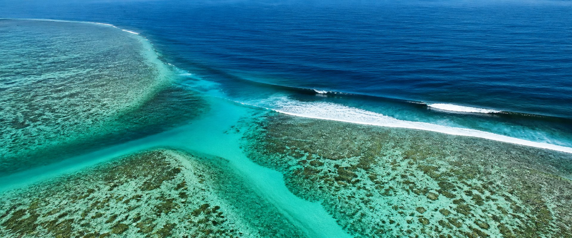 Blue reef ocean header